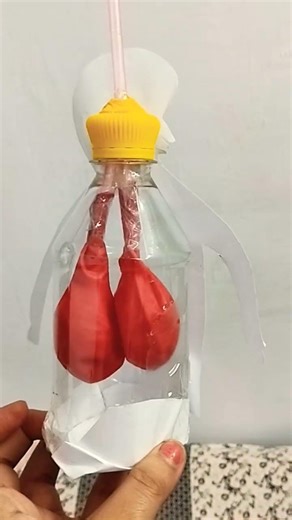 Lungs system working model