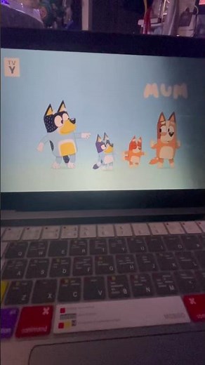 Bluey intro on Disney channel