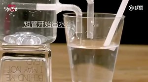 894K views · 4K reactions | #meohay #diy Innovative, easiest self watering planters tutorial ❤️❤️❤️ | Beautiful cakes - Những mẫu bánh gato đẹp | Facebook