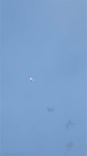 #fireworks #pyro Single Shot Batterie