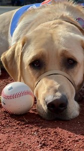 1.2K reactions · 45 shares | Buddy said “bye for now!” to his friends...