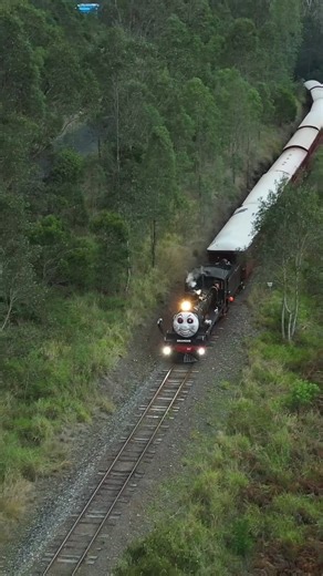 What a spooktacular night! The Ghost Train was packed with ghosts, witches and so much more. With eerie entertainment, chilling sights, and ghoulish delights and plenty of trick-or-treat surprises along the way! Did you hop onboard our hauntingly fun ride? We’d LOVE to see your spookiest photos or videos! Share them with us in the comments below or tag us to relive the frightful fun together! Thank you Infinity Flights Photography for the spooky reel! #maryvalleyrattler #halloween #ghosttrain #s