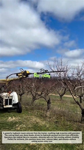 Amazing, Crazy Tree Pruning Machine You’ve Never Seen Before! 🌳