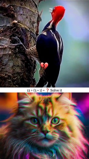 what the hell is going on here??💀 | #cat #memes #bombastic #shorts #funny #trending