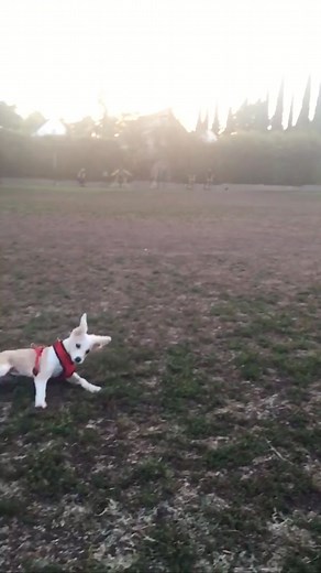 Ana Kasparian on Instagram: "A lot of what I love in one video."