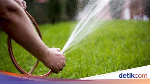 Apa Itu Hukum Bernoulli? Ini Pengertian hingga Contoh Soalnya