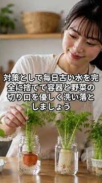 リボベジで失敗しない始め方 豆苗とネギと大根葉とニンジン葉を清潔に楽しむコツ #再生栽培