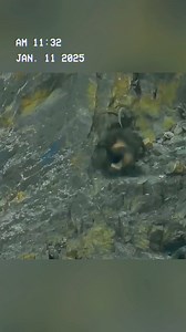 A snow leopard chased an ibex from thousands of feet above sea level! #fyp #wildanimals #animals #foryou #wildlife #snowleopard #ibex | Wildlife288