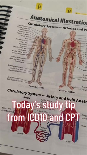 Effective Study Tips for Cardiovascular Medical Coding