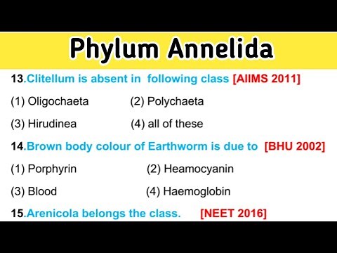 Phylum Annelida mcq - phylum annelida classification