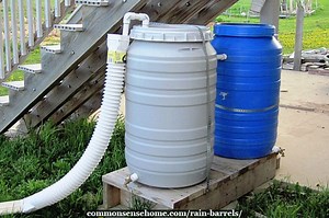 Rain Barrels - DIY, Cheap, Decorative Options (Plus Care Tips)