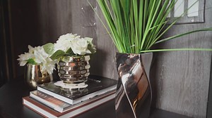 Why Is My Caladium Dying? (Causes and their solutions) – Gardener's point