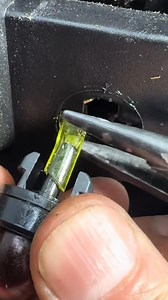 1.5M views · 5.1K reactions | #service #Services #servicedog #servicedogintraining #servicedogsofinstagram #servicedesign | Green Bay Packer | Facebook