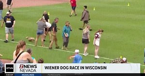 Wiener dog race in Wisconsin ends in controversy
