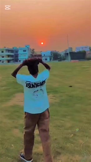 Marwari Power: The Strength of the Marwari Breed