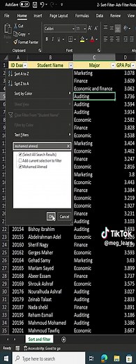 طرق استخدام الفلتر والسايلسر في الإكسيل