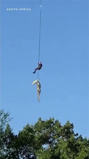 15-Foot Crocodile Found with Suspected Remains