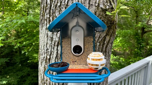 Everything you should know before buying a smart bird feeder