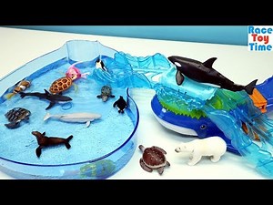 Whale Island Adventure Playset Ania plus Fun Sea Animals Toys For Kids