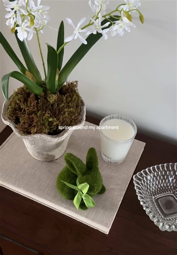 the bunnies & eggs are coming out !!!