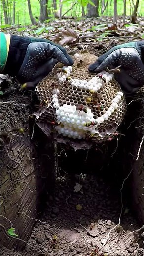 Excavating an Underground Alien City 👽 #aliens