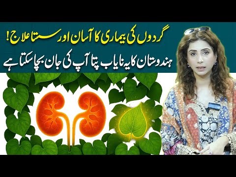 Kidney Disease Cure: Affordable Remedy with a Secret Indian Leaf | Dr Sahar Chawla