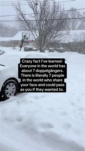 Discover Your 7 Doppelgängers Around the World