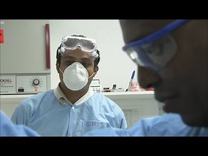 Test de paternité, génétique : le business mondial de l'ADN