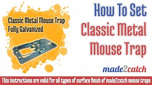 Watch instructions on how to set the made2catch mouse trap on Amazon Live