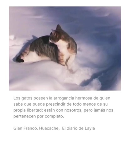 Gian Franco Huacache poemas y poesías - versos de Gian Franco