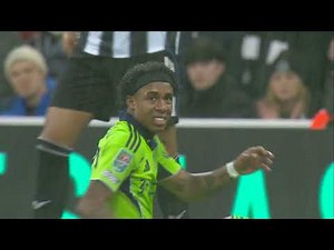 Newcastle United v Fulham Highlights