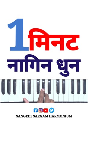 Nagin Dhun On Harmonium #shorts #viral #trending #harmonium #harmoniumtutorial