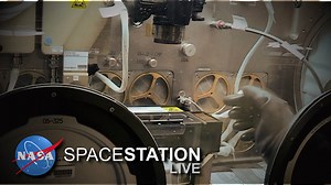 The Microgravity Science Glovebox will welcome its "big brother," the new Life Sciences Glovebox, in a couple of years on the International Space Station. The glovebox is used for everything from biological research to physical science experiments. | International Space Station