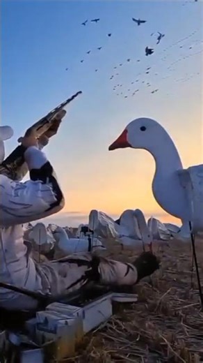 united States 🇺🇸🇺🇸Epic Duck Hunting Adventure – Most Intense Moments Caught on Camera!”