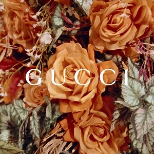 585 reactions · 35 shares | Inspired by press conferences in Hollywood in the 70s and 80s, Ni Ni appears in the new campaign wearing newly designed sunglasses and optical frames. | Gucci | Facebook