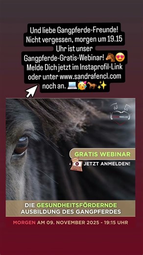 🥳🐎💻 Sei unbedingt dabei! 😍🙌https://www.edudip.market/w/447049