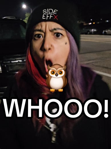 Discover What Owls Do at Night: Fascinating Behaviors