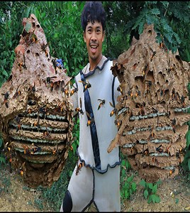 469K views · 6.3K reactions | The nest of the osprey on the tip of the island is very large - Street Chef | Street Chef | Facebook