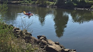 Wicomico County Council candidates to debate on environmental issues Sept. 11