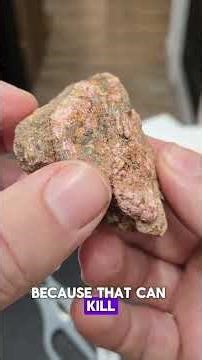 The Dangers of Gold Mining ⛏️ - #gold #mining #mineralogy #mineralindustry #crystals #minerals #gems