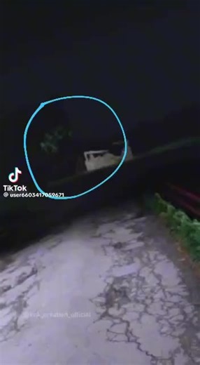 DJ SCOOBY BOSS (@dj.scooby.boss)’s videos with original sound - DJ SCOOBY BOSS