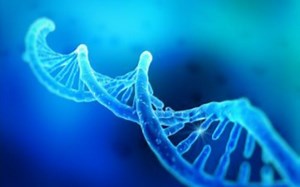 python机器学习疾病诊疗预测概述