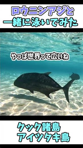 [Shocking] Apparently there's an ocean in the world where you can swim with giant trevally... [Ai...