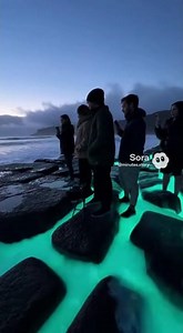 Witness the RARE Bioluminescent Wave Explosion! Unreal Blue Glow #nature #cinematic