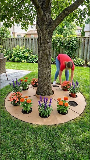 DIY Tree Ring Garden Makeover: The Secret to Perfect Tree Ring Transformation