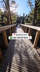 👀 What is the boardwalk in Kauri Glen Reserve, Auckland? A 60-meter-long, 18-meter-high boardwalk offers walks through kauri trees 🌳, Taraire forest, and alongside Waiurutoa Stream💧 Built to protect kauri roots and prevent dieback, it includes shoe cleaning stations 👞 👟. Kauri Glen Reserve hosts one of New Zealand's highest kauri tree concentrations, ideal for nature lovers. 🎥 @nz_adventures #100NewZealand #travel #adventures #newzealand #kauriglenreserve #auckland #naturelovers | 100% New
