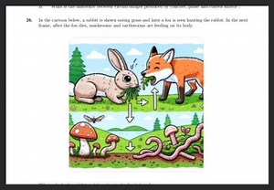 In the cartoon below, a rabbit is shown eating grass and later ... | Filo