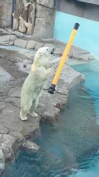 2026年8月10日（月）王子動物園 トワイライトZOO 新しいおもちゃをもらうゆめ