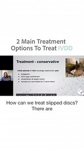 2.4K views · 29 reactions | IVDD Treatment Options  Dr. Fitz, covered Intervertebral Disk Disease on our May webinar. Watch the full presentation on YouTube! ➡️ https://youtu.be/ipEw9KvLIR4 | Southeast Veterinary Neurology | Facebook