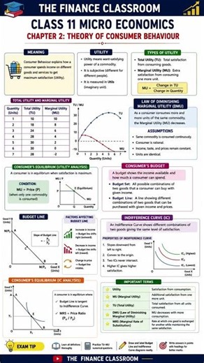 Class 11 Micro Economics Chapter 2 | Theory of Consumer Behaviour | One-Page Notes | CBSE 2026